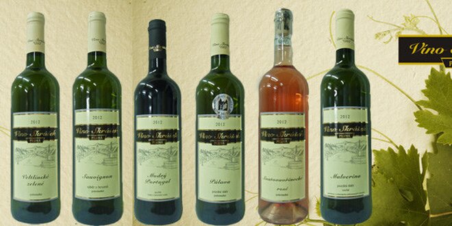 6 vín z moravského rodinného vinařství Skrášek