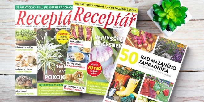 Roční předplatné Receptáře a kniha jako dárek