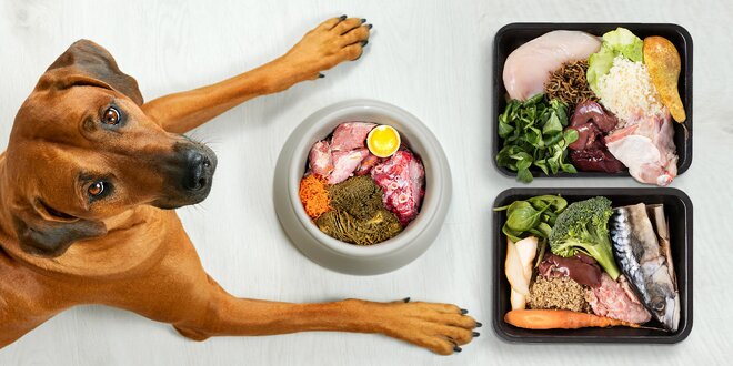 BARF strava pro psy: koroptev, ryba i kuře