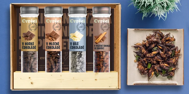Limitovaná edice pražených cvrčků v čokoládě