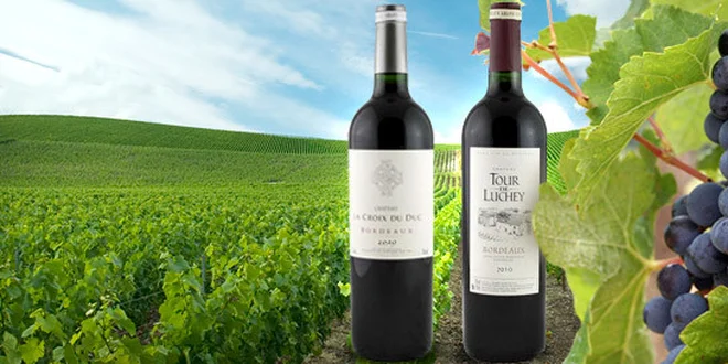 Dvě kvalitní červená vína z Bordeaux