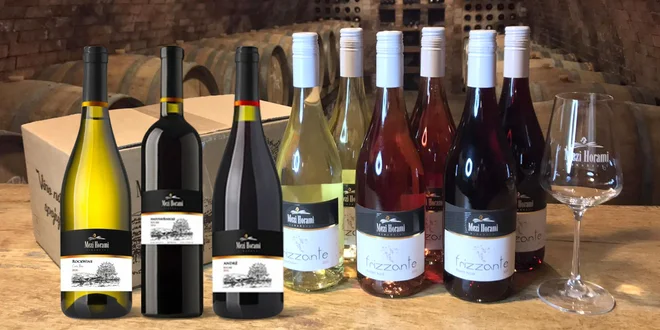 Moravská vína i hroznové mošty: sety 6 lahví