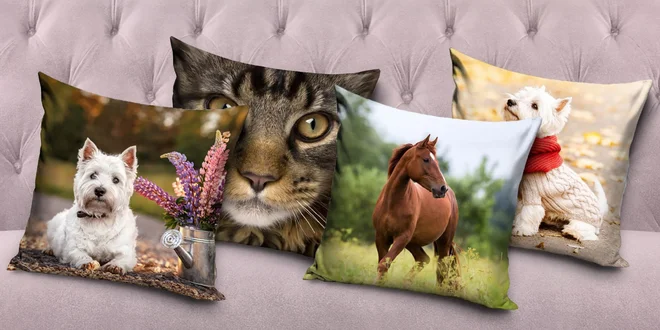 Dekorační polštářky se psem, kočkou, lvem i koňmi
