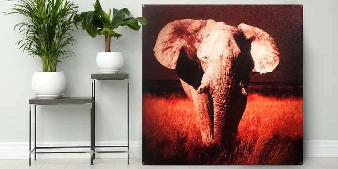 Exkluzivní kovové fotoobrazy