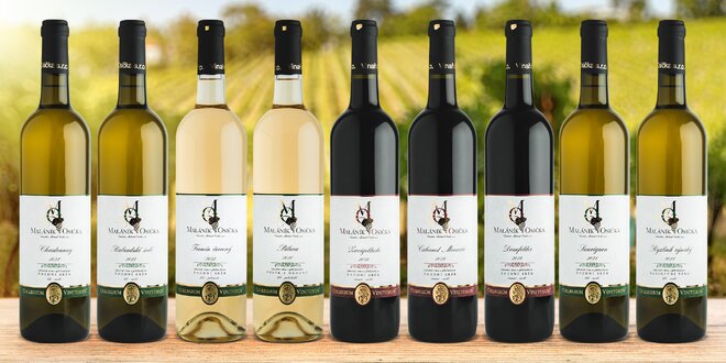 Sety 3 a 6 vín z vinařství Maláník-Osička, bílé i červené