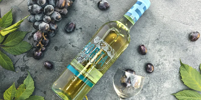 Víno z Portugalska: 1–6 lahví mladého zeleného vína