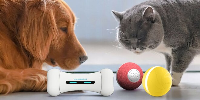 Zábava pro kočky i psy: chytrý míček či kost