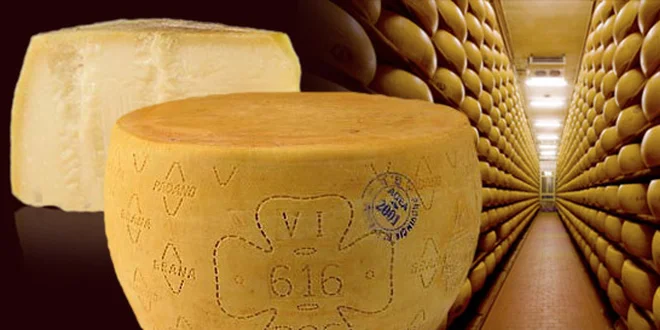 0,5 kg pravého italského parmezánu Grana Padano