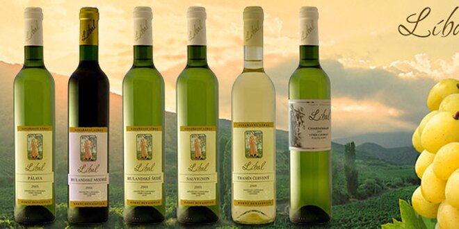 6 přívlastkových vín z rodinného vinařství Líbal