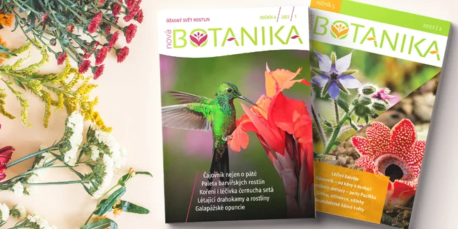 Časopis Nová Botanika: tištěná i e-verze pro roky 2022–2024