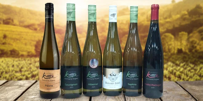6 vín z vinařství Konopný kopec: Hibernal i Saphira