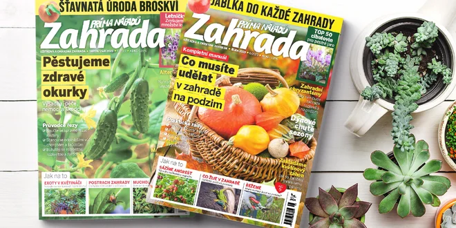 Roční předplatné časopisu Zahrada prima nápadů