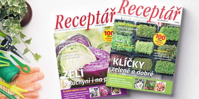 Roční předplatné hobby časopisu Receptář