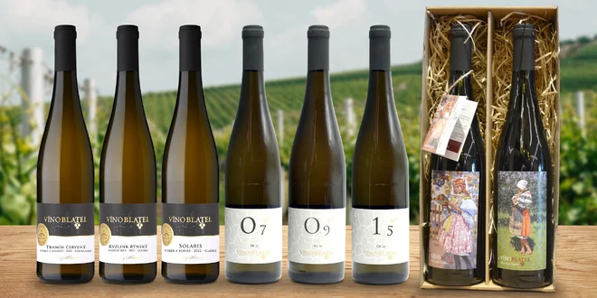 2 nebo 6 láhví ze slováckého vinařství, suchá i šumivá