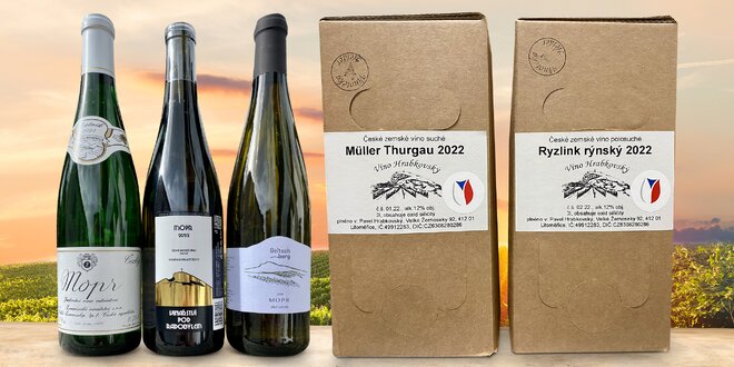 Česká a Maďarská vína v 3 litrových bag in boxech i dárkový set