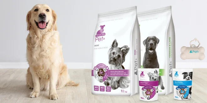 Sady krmiv pro psy v každém věku: granule i pamlsky