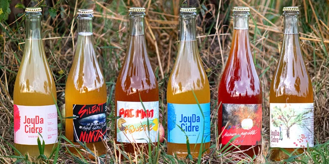 Přírodní české cidery JoyDa v lahvích po 0,75 l