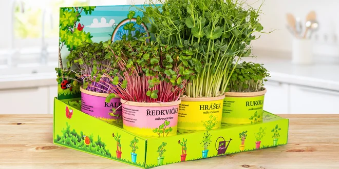 Mikrozahrádka: pěstební sada s 6 druhy microgreens