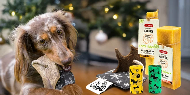 Dárkové balíčky pro pejsky: přírodní hračka, sáčky i tyčinka