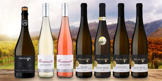 Až 6 láhví vína ze slováckého vinařství: suchá i šumivá