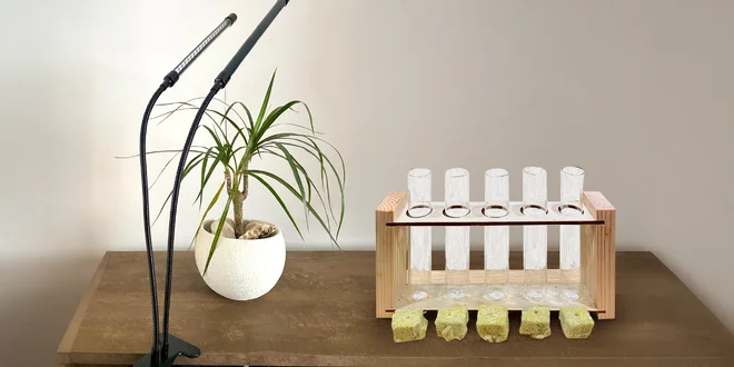LED lampa na pěstování rostlin v interiéru
