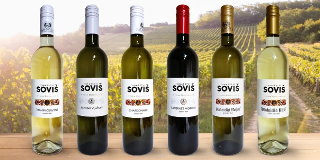 Set šesti vín z vinařství Soviš u Bílých Karpat