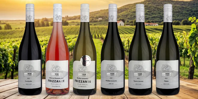 6 vín z rodinného vinařství: Muškát, Cabernet i Pálava