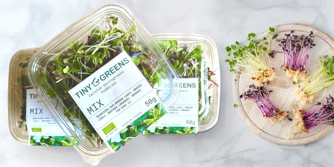 Předplatné microgreens: čerstvé bylinky 4× měsíčně
