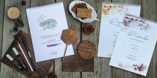 Kaligrafické písanky: pro malý i velký brush pen