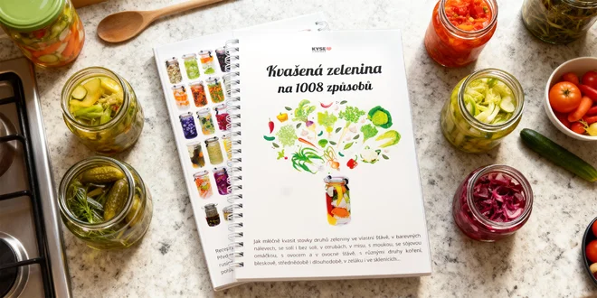 Praktická kniha Kvašená zelenina na 1008 způsobů