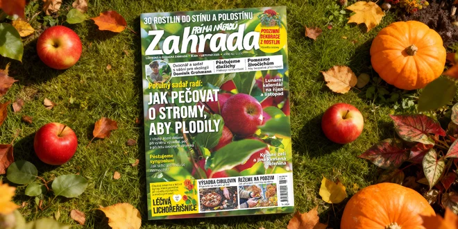 Roční předplatné časopisu Zahrada prima nápadů