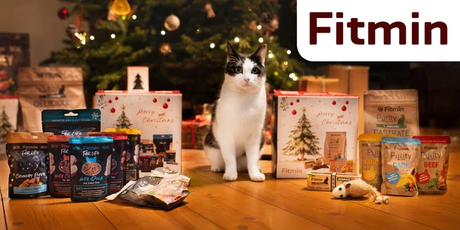 Poukaz na krmivo, hračky i pamlsky pro mazlíčky: 1000-2000 Kč