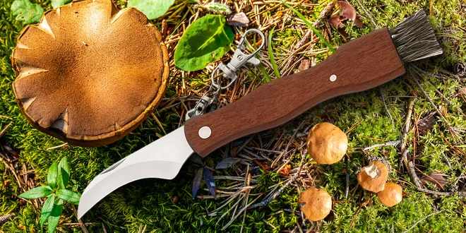 Zavírací nůž na houby se štětečkem a karabinkou