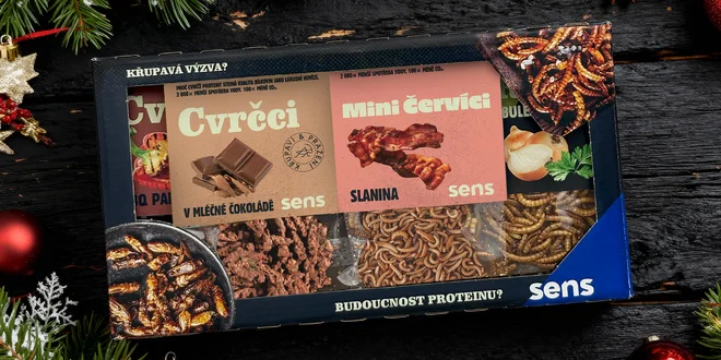 Ochutnávkový set cvrčků a červíků v dárkovém balení