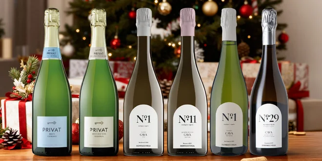 Španělské šumivé víno: katalánská Cava