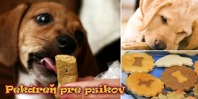 1 Euro za keksíky pre Vášho štvornohého miláčika z Pekárne pre psíkov!