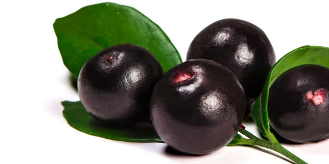 ACAI BERRY alebo MAQUI BERRY