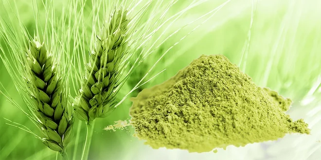 Zázračný detoxikačný prostriedok - zelený jačmeň