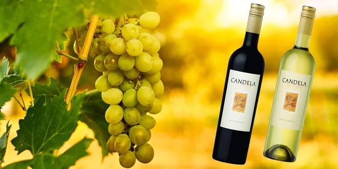 6 chutných vín z Argentíny