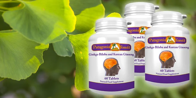 Ginkgo biloba s kórejským ženšenom 60 tabl. - proti únave, stresu a zabúdaniu!