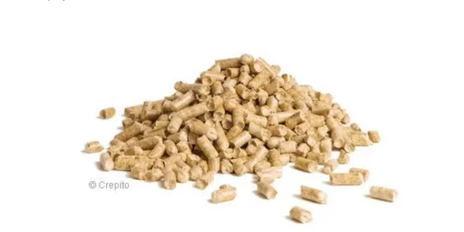 Jarný detox: Ostropestrec Darka Gold či Organic