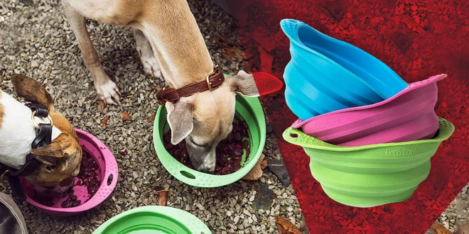 Cestovná miska pre psa Beco Bowl