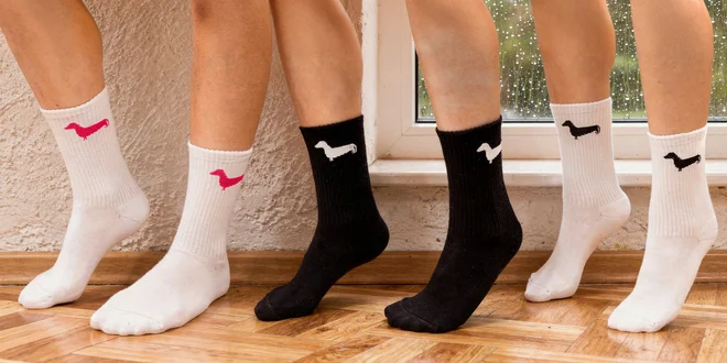 Bavlněné ponožky s jezevčíkem