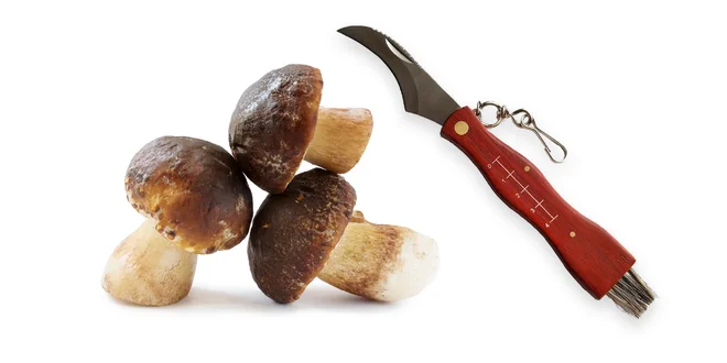 Hubársky nôž + praktická kefa na čistenie húb