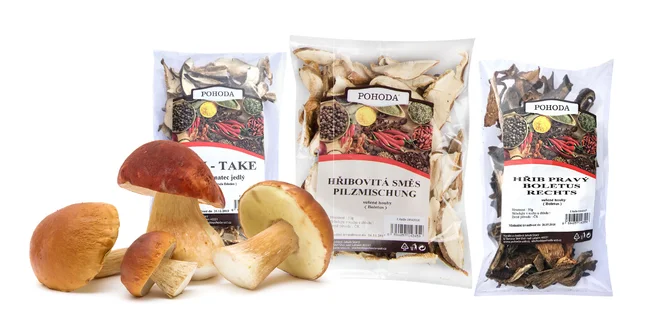 Plný košík: hríby, lesná zmes, hliva a Judášovo ucho