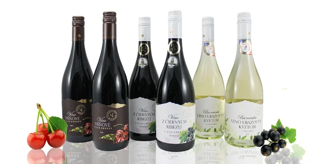 Ovocné vína – bazové, višňové a ríbezľové