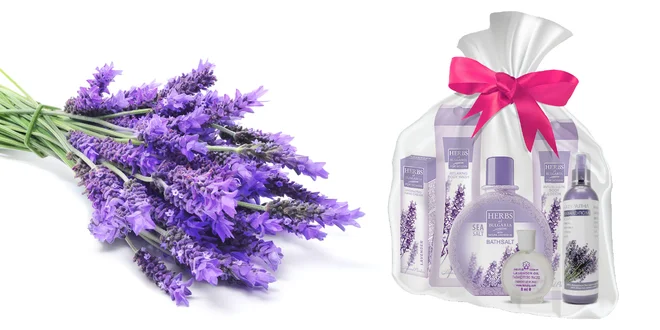 Darčekový balíček voňavej levanduľovej kozmetiky