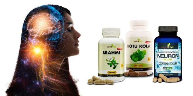 Podporte svoju mozgovú činnosť na maximum!