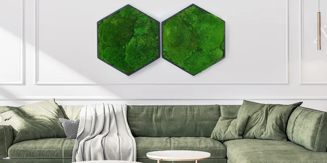 Ručne vyrobené obrazy z rôznych druhov živého machu