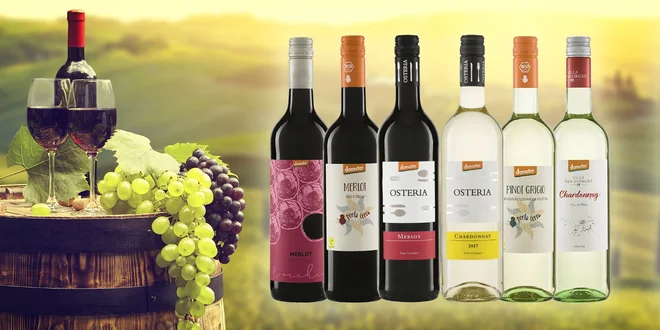 Kartóny kvalitných BIO vín – alkoholické i nealkoholické